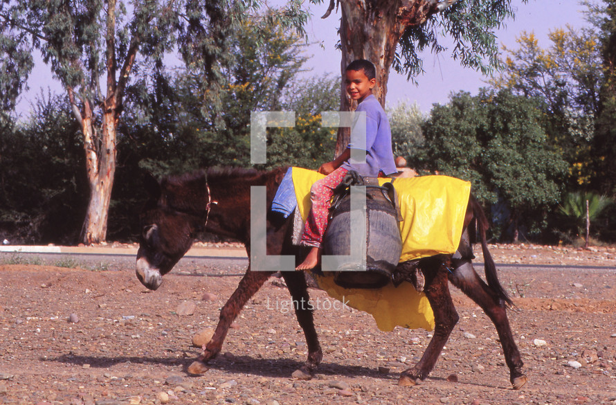 a boy riding a mule carrying water 