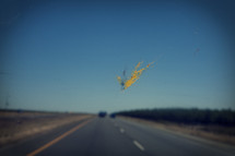 bug splattered on a windshield during a road trip 