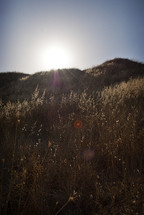 sunlight over a hill in Israel 