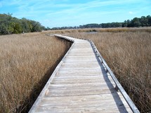 The pass - Narrow foot bridge across the wet marsh lands of Tybee Island, Georgia.