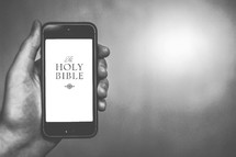 Hand holding a cell phone; viewing the Holy Bible online.