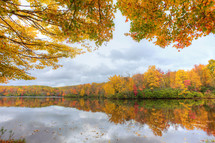 colorful fall forest around a lake 
