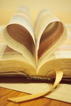pages of a Bible folded into the shape of a heart