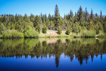Lake reflection of trees.