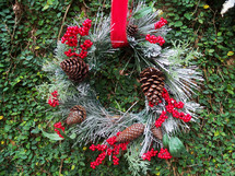 A red ribbon holding a Christmas wreath made out of evergreen, bluespruce, pine tag needles, pine cones, red berries mounted and framed against a wall of green plants. 