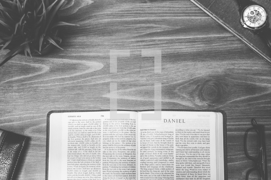 Daniel, open Bible, Bible, pages, reading glasses, wood table 