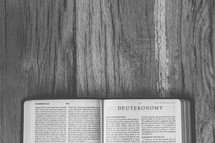 Bible opened to Deuteronomy 