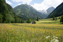 Cabin in Alpine Meadow in the Alps