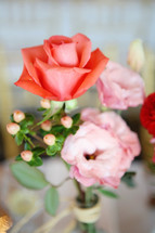 roses in a vase