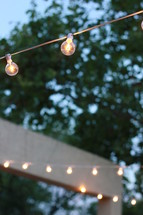 glowing bulbs on a string of lights outdoors 