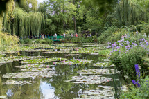 visitors to a pond with lily pads 