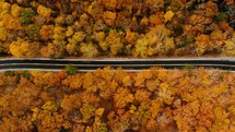 aerial view over a road through an autumn forest 