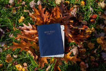 Bible in fall leaves 