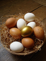 one golden egg in a basket of white and brown eggs, sitting on a wood floor or table