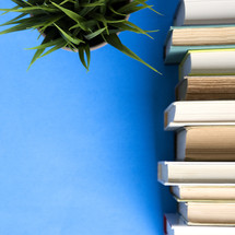 stack of books and a potted plant on a blue background.