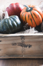 crate of fall pumpkins 