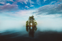 trees on a tiny island 