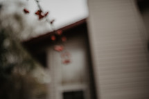 out of focus house and branches with berries