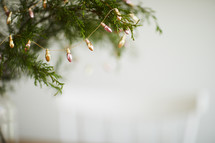 string of lightbulbs on a Christmas tree 