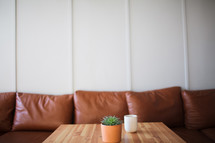 succulent plant and coffee cup on a table 
