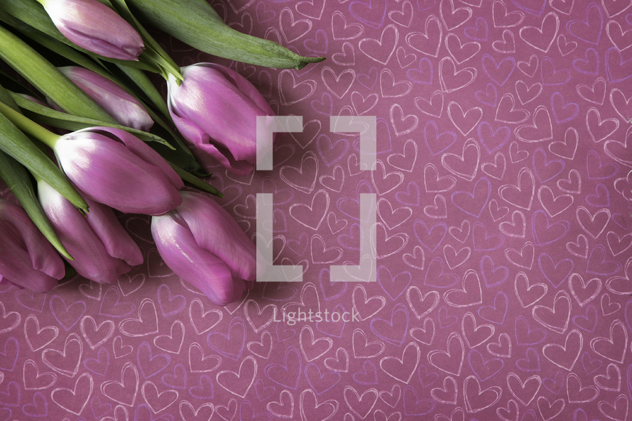 pink tulips on a heart pattern background 