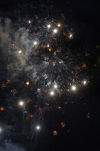 abstract background fireworks display in the night sky 