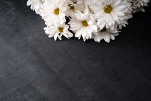 white daisies on black 