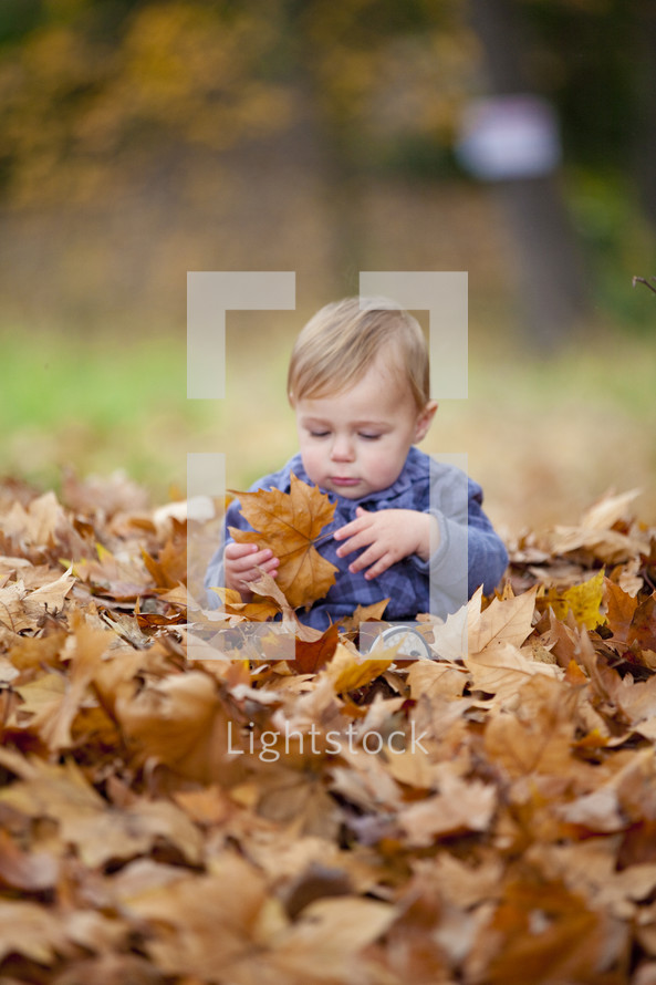 toddler boy sitting pile of fall leaves