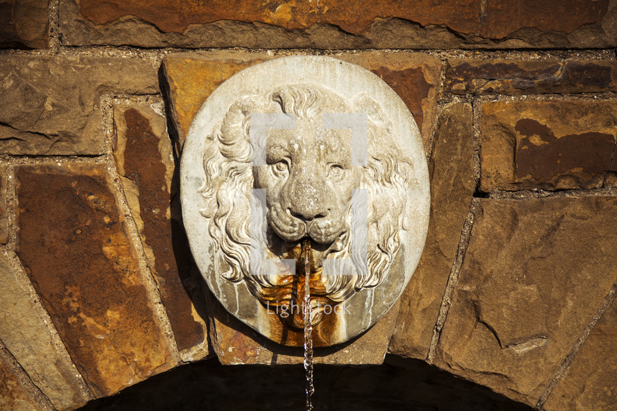 Ornamental stone lion head with water running from its mouth.