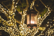 string of lights on a tree and hanging lantern at night 