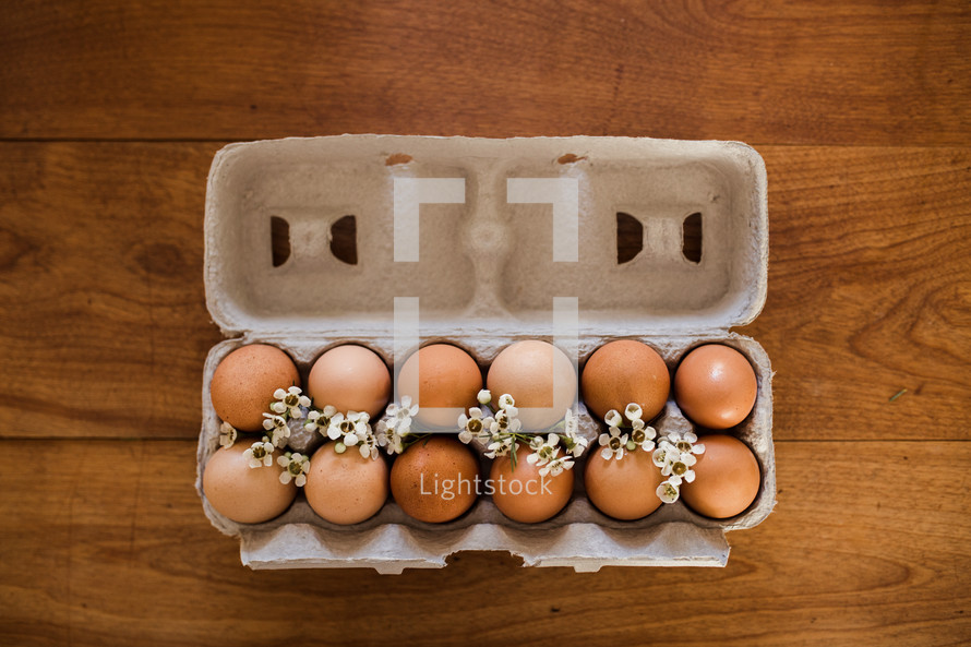 brown eggs in an egg carton 