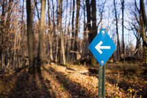 arrow sign and fall woods 