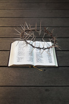 Hebrew / English Bible with Crown of thorns. Book of Isaiah
