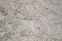 beige shag carpet background 