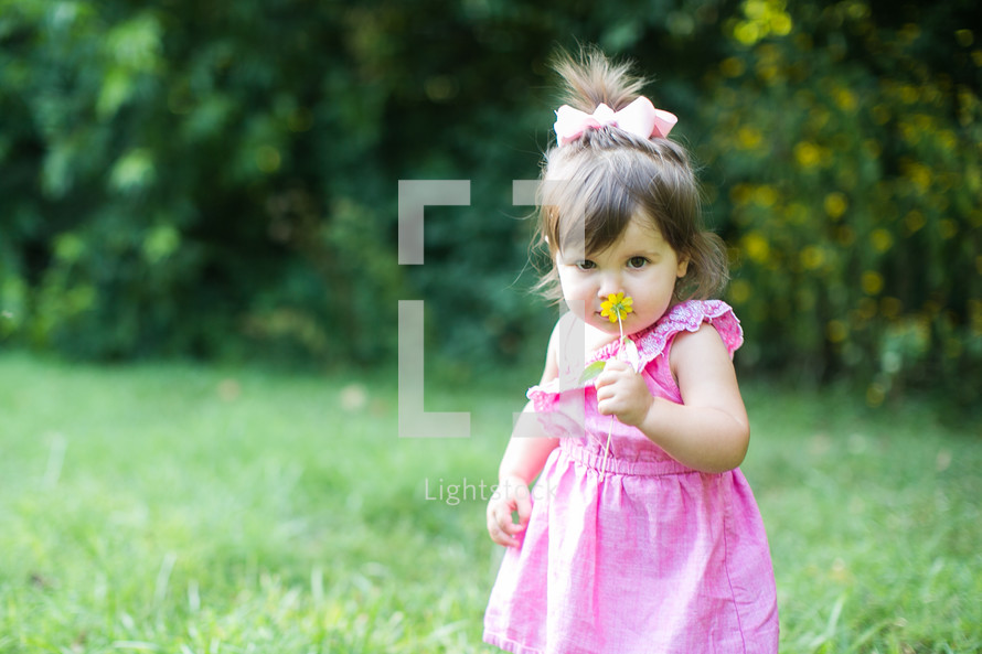 a toddler girl smelling a flower 