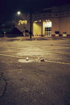 trash in a mall parking lot at night