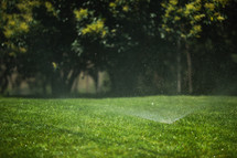 Water sprays on the grass