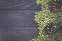 pine cones and pine on dark wood 
