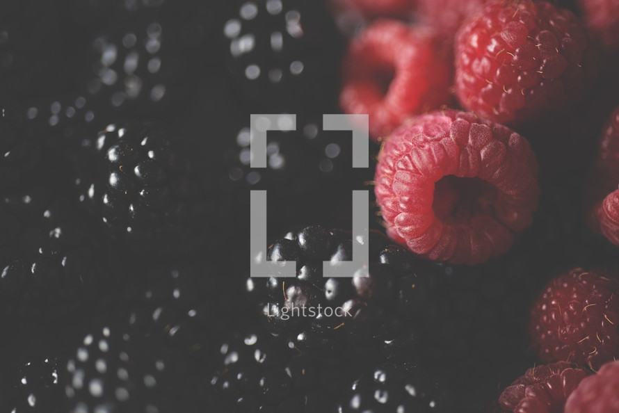 blackberries and raspberries 