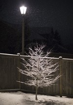 falling snow at night 