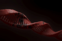 DNA strand 