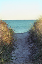 beach path 