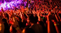 audience hands raised at a concert 