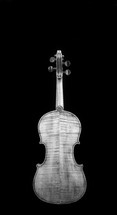 back of a violin 