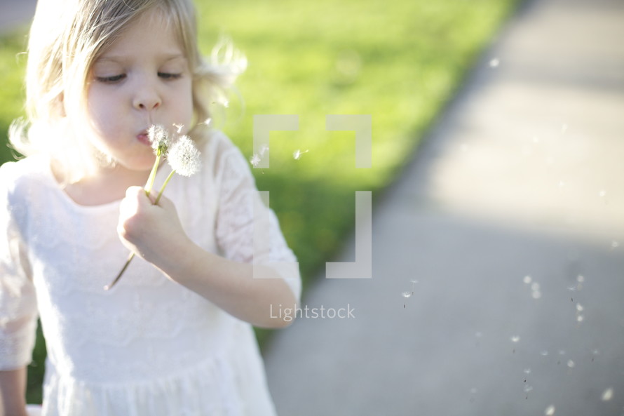 toddler girl blowing on a dandelion 