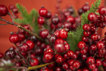red Christmas berries 