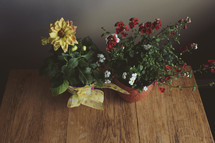 Colorful flowers in pots on wooden table