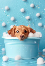 Adorable puppy in a blue bucket taking a bath with bubbles and water droplets around. Perfect for pet care and grooming themes.