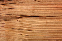 wood grains
