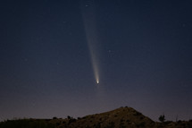 A spectacular comet in the evening sky